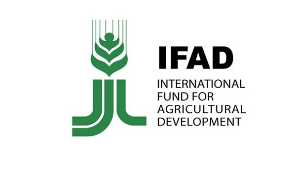 IFAD-VCDP trains financial Institutions to Enhance Rural Farmers’ access to credit Facility in Kogi