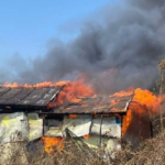 Migrants targeted after ,