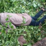 Suspected kidnapper killed by Oyo NSCDC in Ibadan