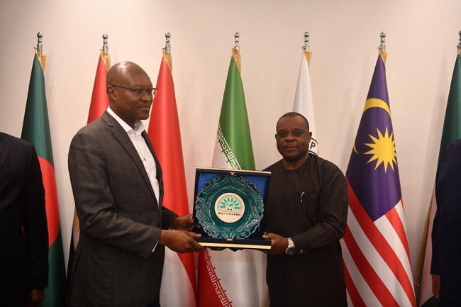 D-8 countries pledge support for Nigeria's energy transition plan