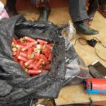 Lagos police intercept cache of cartridges, arrest 3 suspects