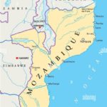 Mozambique detains 29,