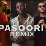 'Pasoori' remix,