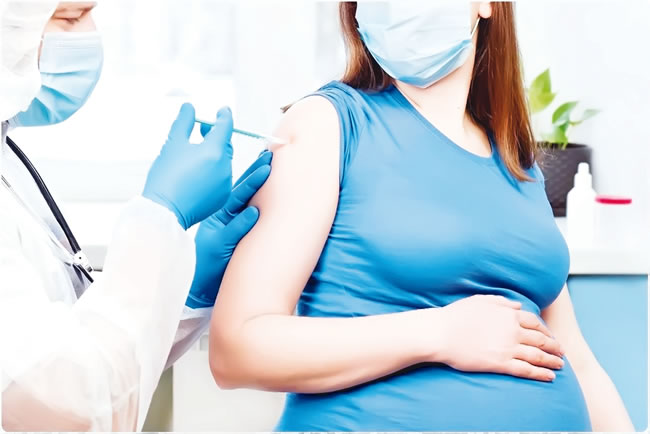 Pregnancy