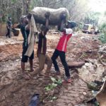 IPCR scavengers' potential , FCTA dislodges scavengers,