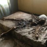 landlord's skeleton