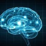 chemicals linked to brain damage, make your brain smarter