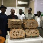day-old chicks counterfeiting