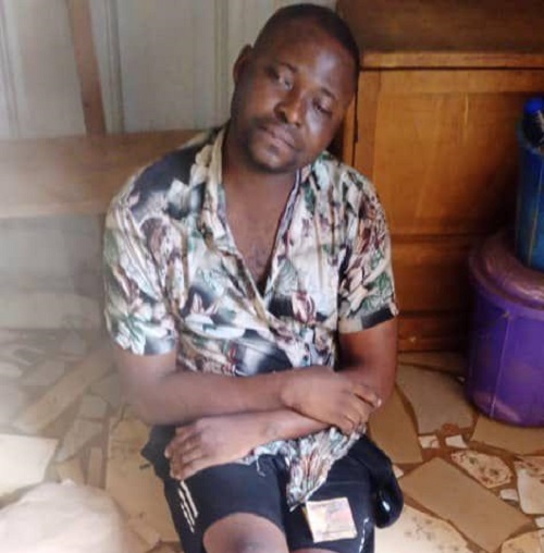 Police arrest suspect