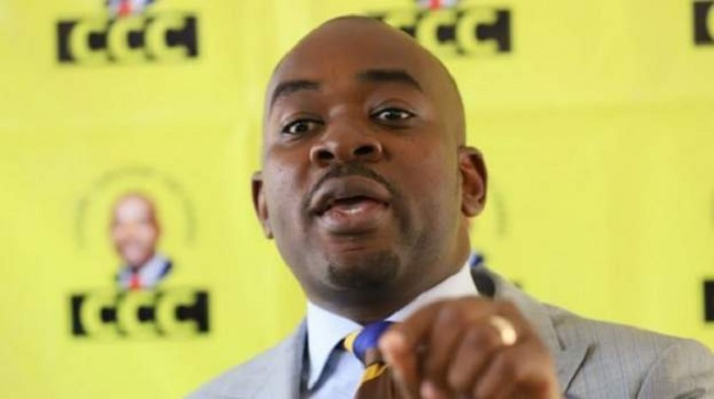 Zimbabwe party alleges ,