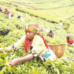 WOFAN AGRA women farmers silos OYSADA Oyo agricultural importation