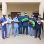 Yobe doctors, Yobe