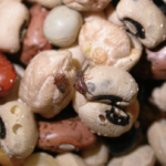 preserve your beans from weevils