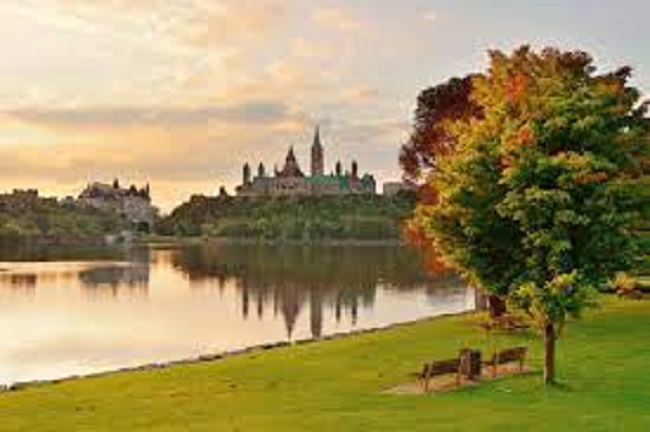 Canada to allow,