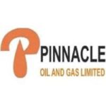 Oil firm completes, Dangote Refinery's allegation of substandard products inaccurate — Pinnacle Oil