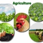 Agriculture Stakeholders advocate financial, UK reaffirms commitment