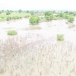 farmers flood
