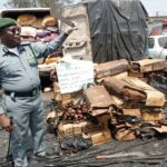 Customs discover 3116 cutlasses
