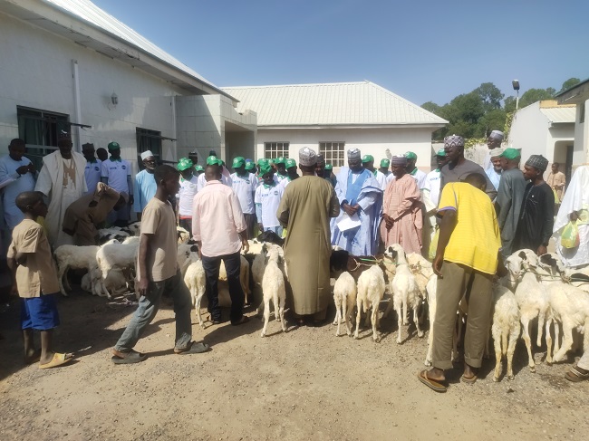 NAIS trains 35 sheep breeders in Bauchi, empowers them with N10m starter packs