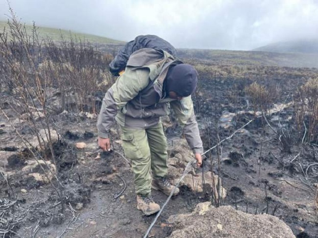 Fire disrupts internet,