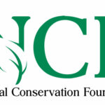 NCF