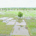 farmers Flooding