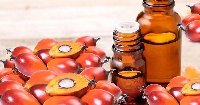 benefits of palm kernel oil