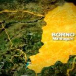 Boko Haram attacks Borno community, Boko Haram militants kill 20 fishermen drug trafficker in Borno, Cholera outbreak hits Borno