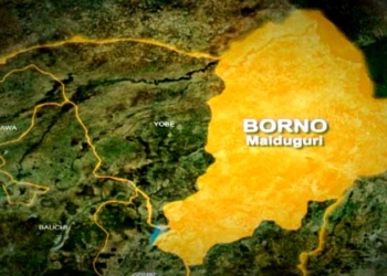 Boko Haram militants kill 20 fishermen drug trafficker in Borno, Cholera outbreak hits Borno