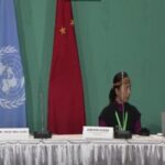 cop15, biodiversity issues