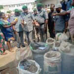Customs pangolin scales wine,
