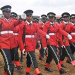 constables Police divisions Niger,