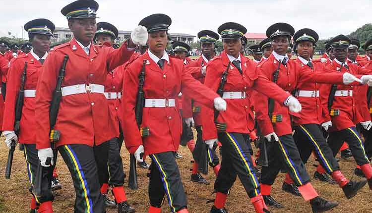 constables Police divisions Niger,