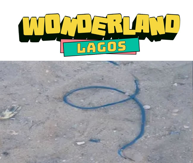 wonderland