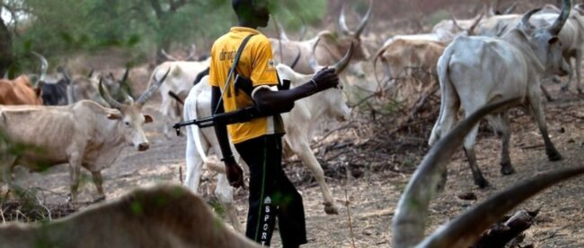 Pastoralists Coalition