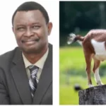 Evang Bamiloye