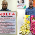 NDLEA