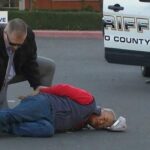 Seven dead in ,