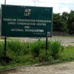 NCF
