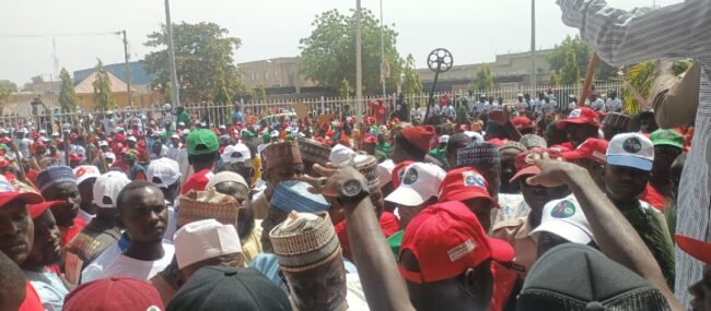 Bola Tinubu