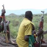 Zamfara bandit Dankarami