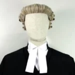 LAWYER