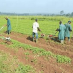 Wet season farming Emir of Keffi seeks government support for