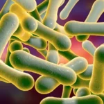 NCDC Diphtheria