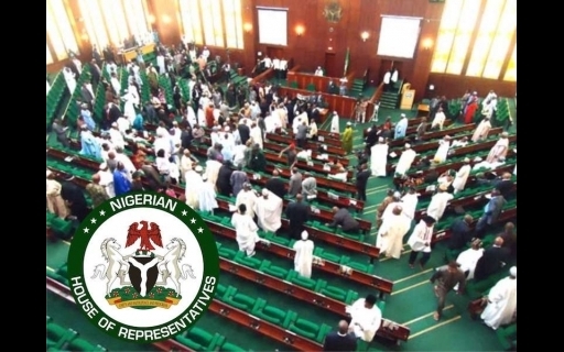 Reps issue two-week ultimatum, Reps back bill seeking to reserve special slots for women in NASS