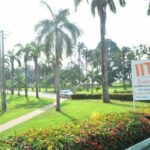 Stakeholders seed roadmap, IITA I4ALL