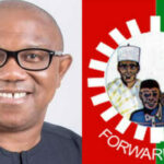 PDP loyalists