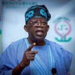 Governors, Tinubu, Support group, Supplementary election, Tinubu in Ekiti