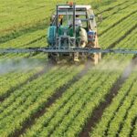UNDP, FCMB, CEFTER support 25 early stage agritechs in AgroHack challenge