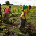 TGI AUDA-NEPAD FACAN Boehringer agric NRCRI